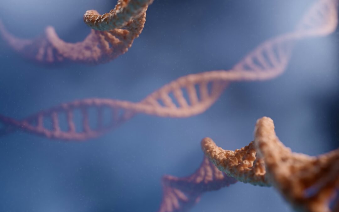 What Is DNA Testing? A Beginner’s Guide